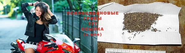 шишки Алзамай