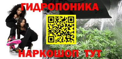 прущие крисы Коммунар