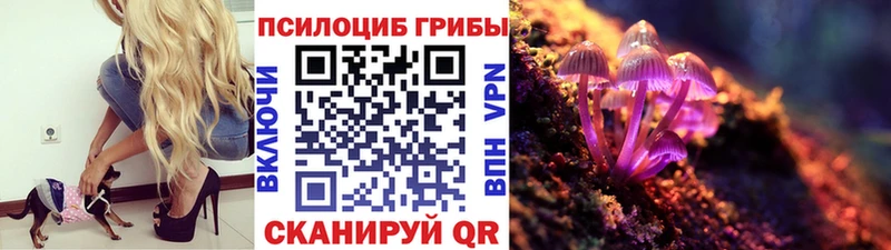 Галлюциногенные грибы Magic Shrooms  Знаменск 