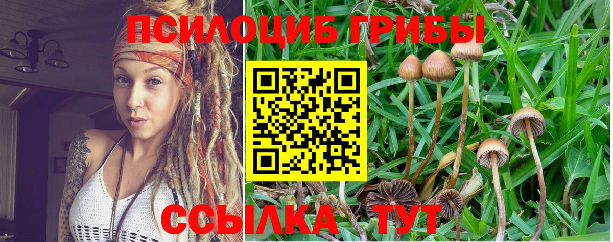 Псилоцибиновые грибы GOLDEN TEACHER  Вход с VPN  Знаменск 