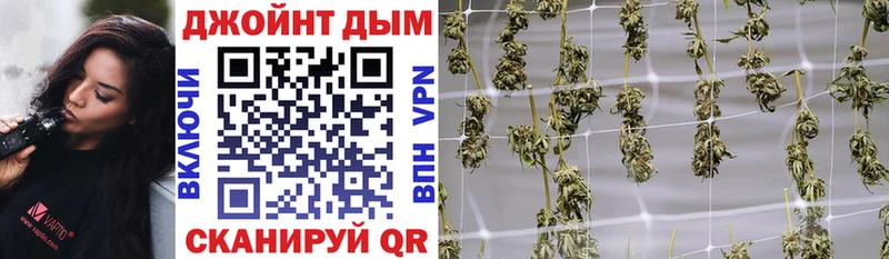 Конопля планчик  Знаменск 